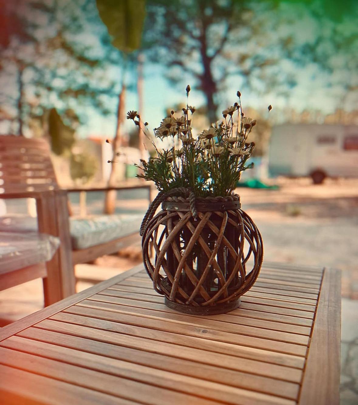 Pitsoni Campingplatz Sykia