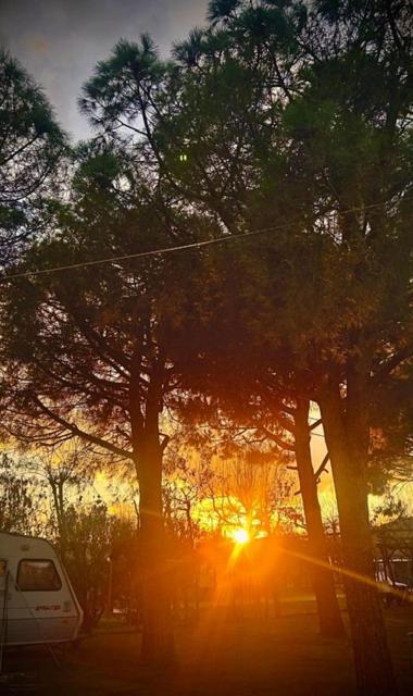 Camping Pitsoni Sykia Chalkidikis