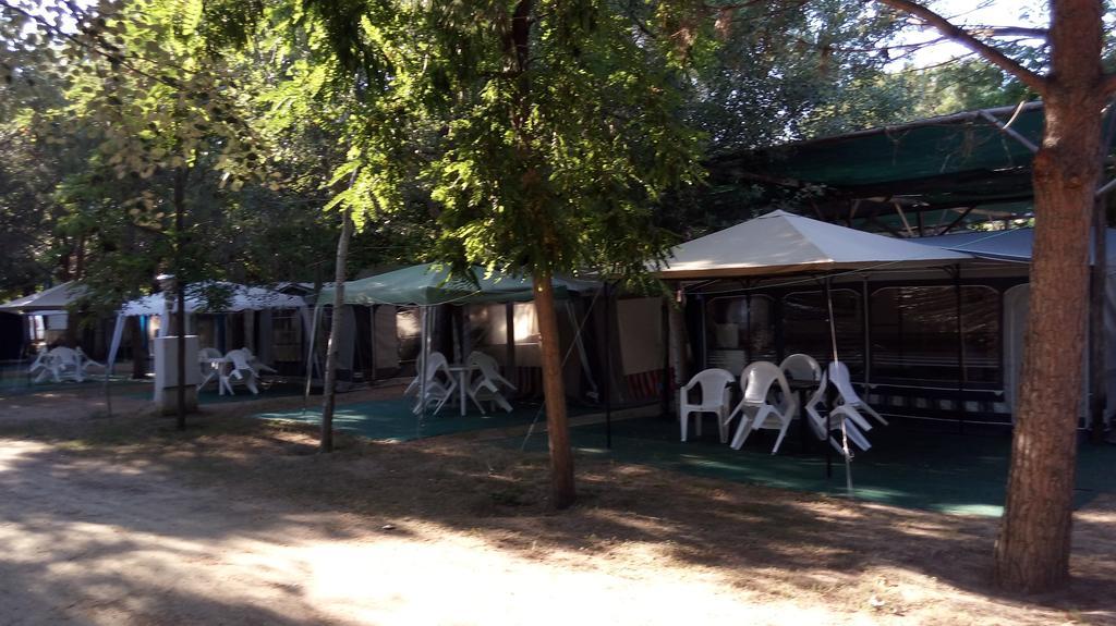 Pitsoni Campingplatz 2*